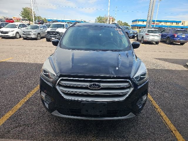 Used 2019 Ford Escape SEL AWD/4WD image 9