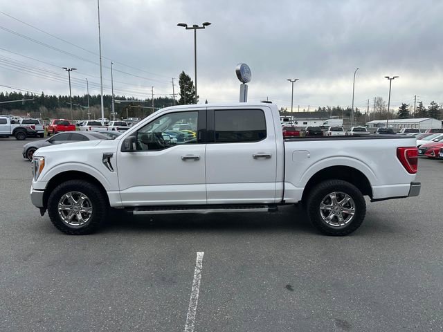 Used 2023 Ford F150 XLT w/ Equipment Group 302A High image 5