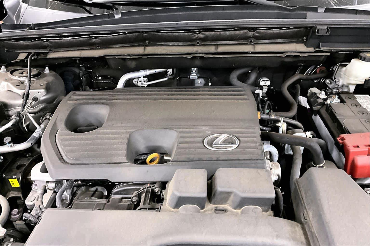 Used 2024 Lexus NX 250 AWD w/ Cold Area Package image 31