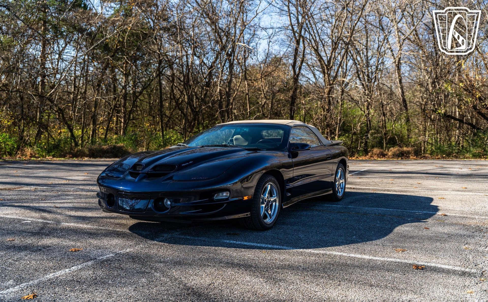 Used 2000 Pontiac Firebird Trans Am image 9
