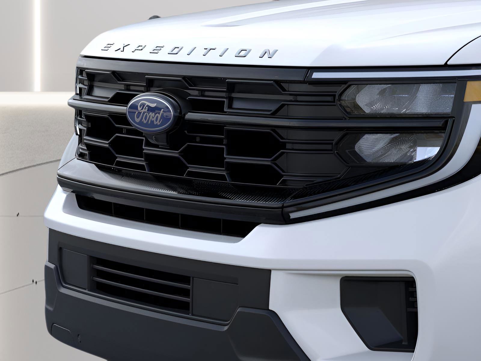 New 2025 Ford Expedition Active image 18