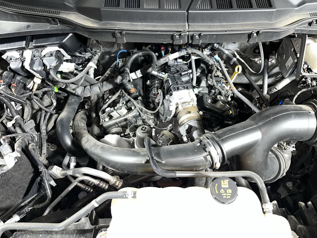 Used 2025 Ford F150 XLT w/ Equipment Group 301A Standard AWD/4WD image 12