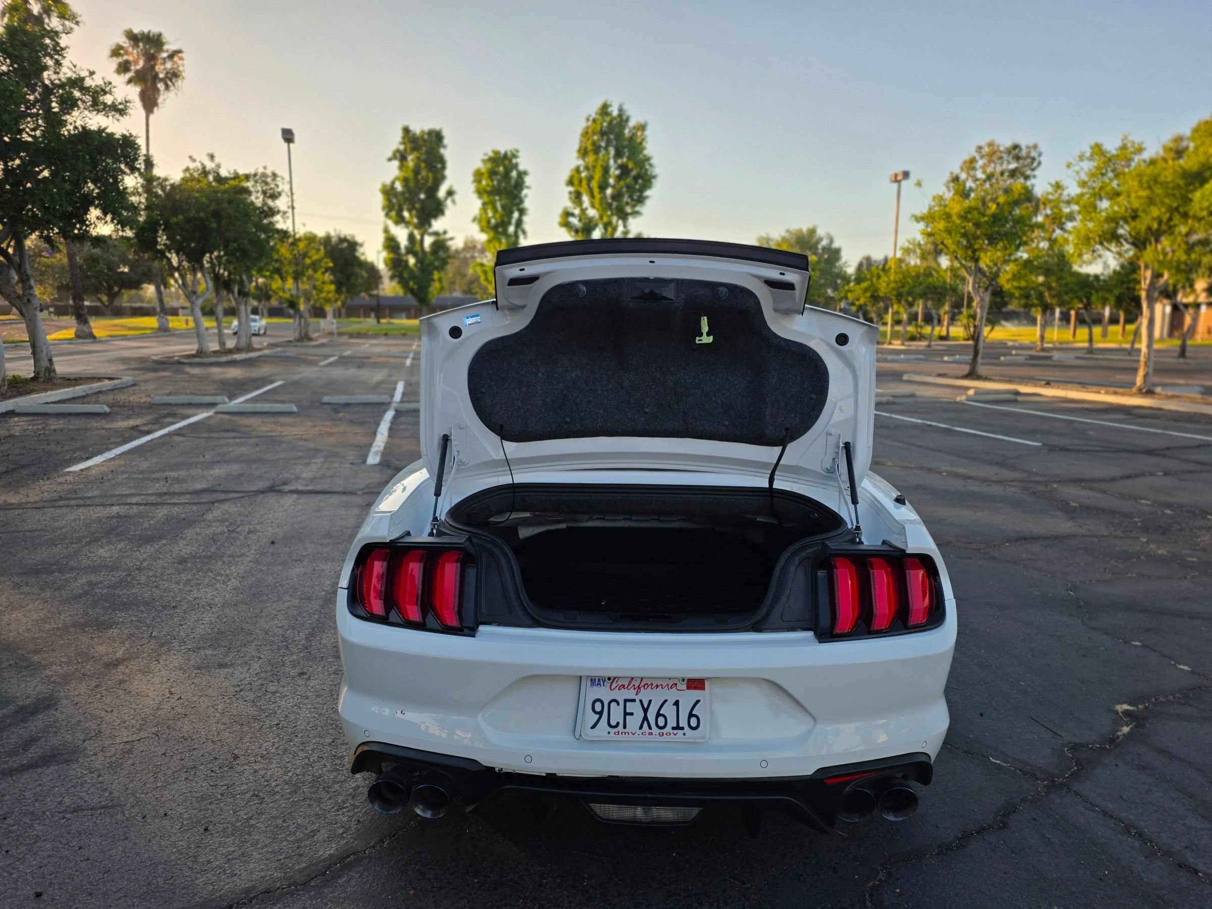 Used 2019 Ford Mustang GT Premium RWD image 9