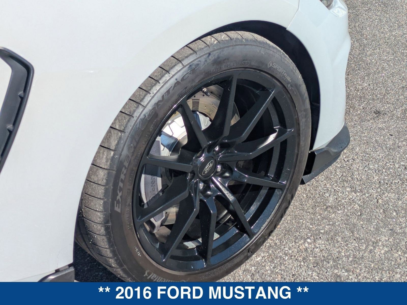 Used 2016 Ford Mustang Shelby GT350 image 12
