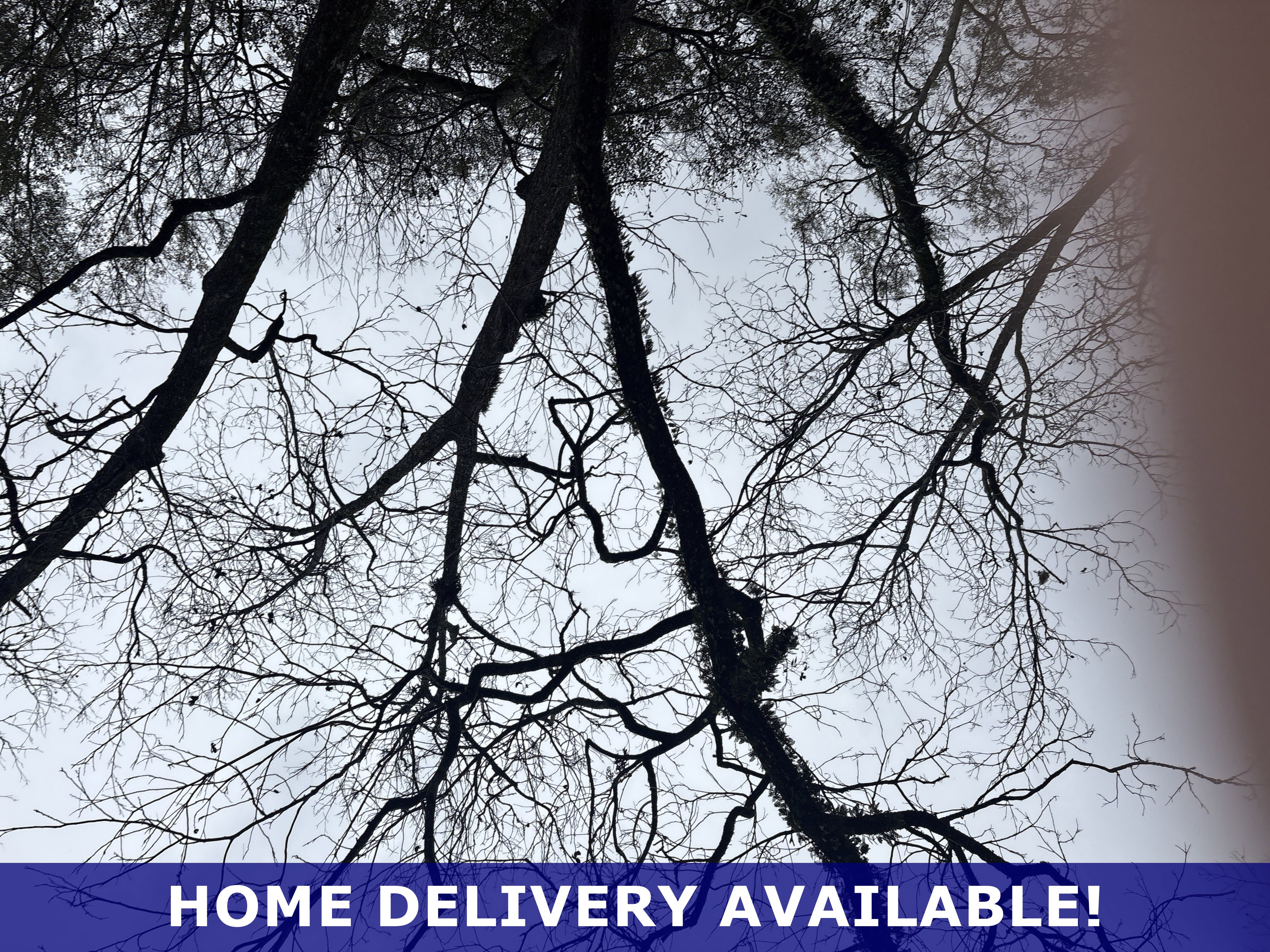 Used 2017 Ford Explorer Platinum image 8