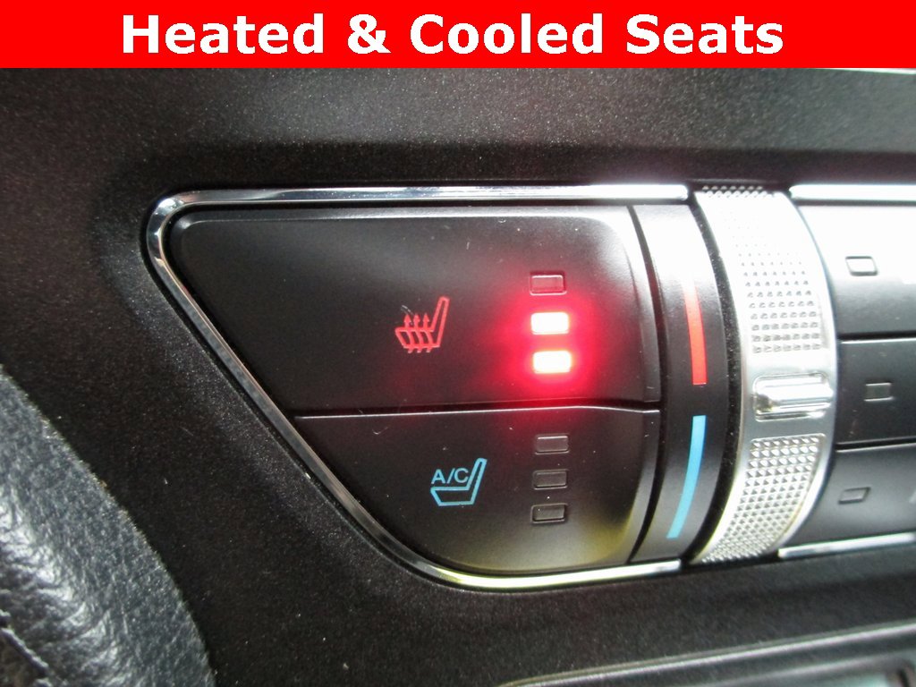 Used 2016 Ford Mustang GT Premium w/ Equipment Group 401A image 14