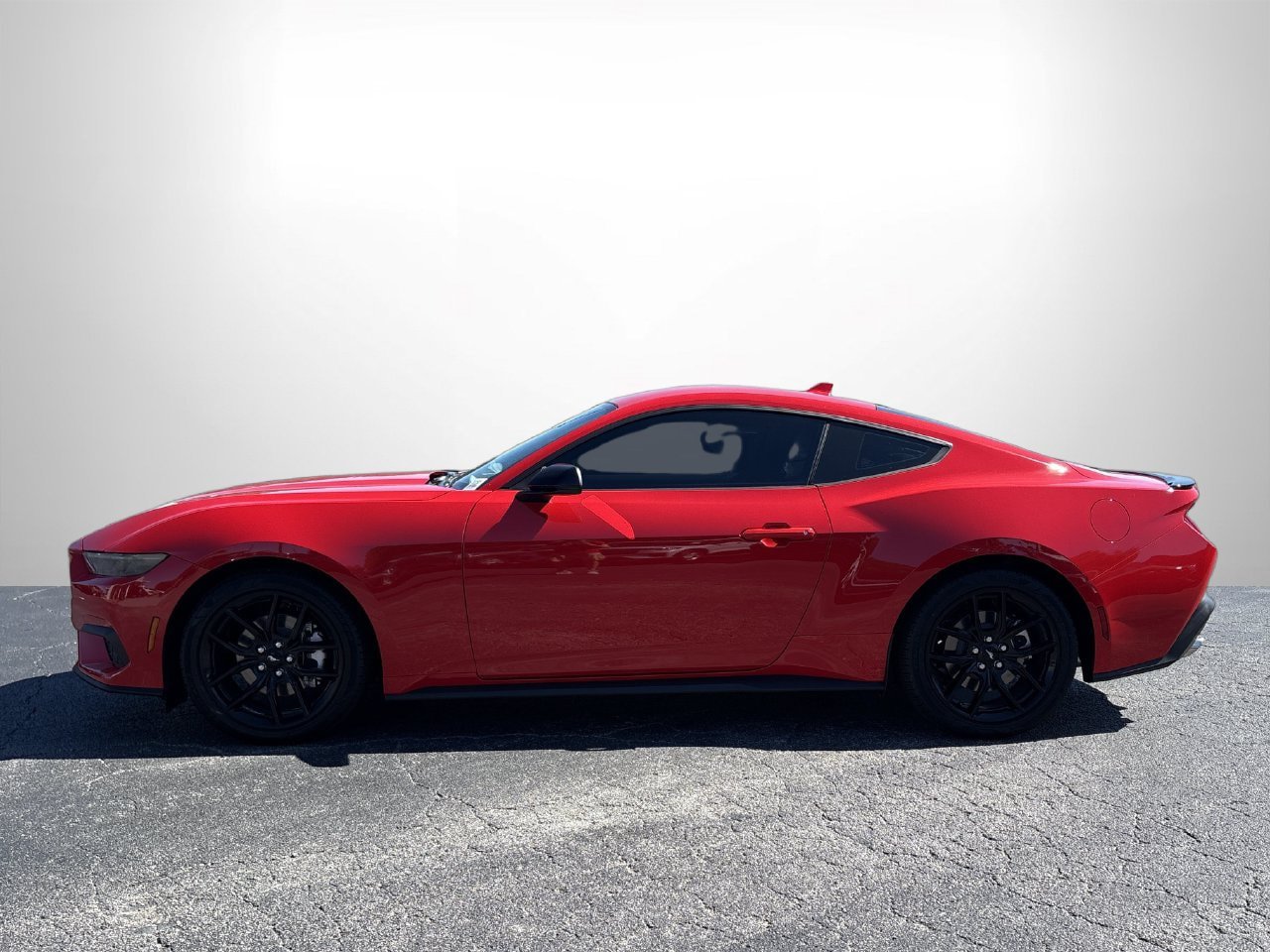 New 2026 Ford Mustang Coupe w/ Mustang Nite Pony Package RWD image 15