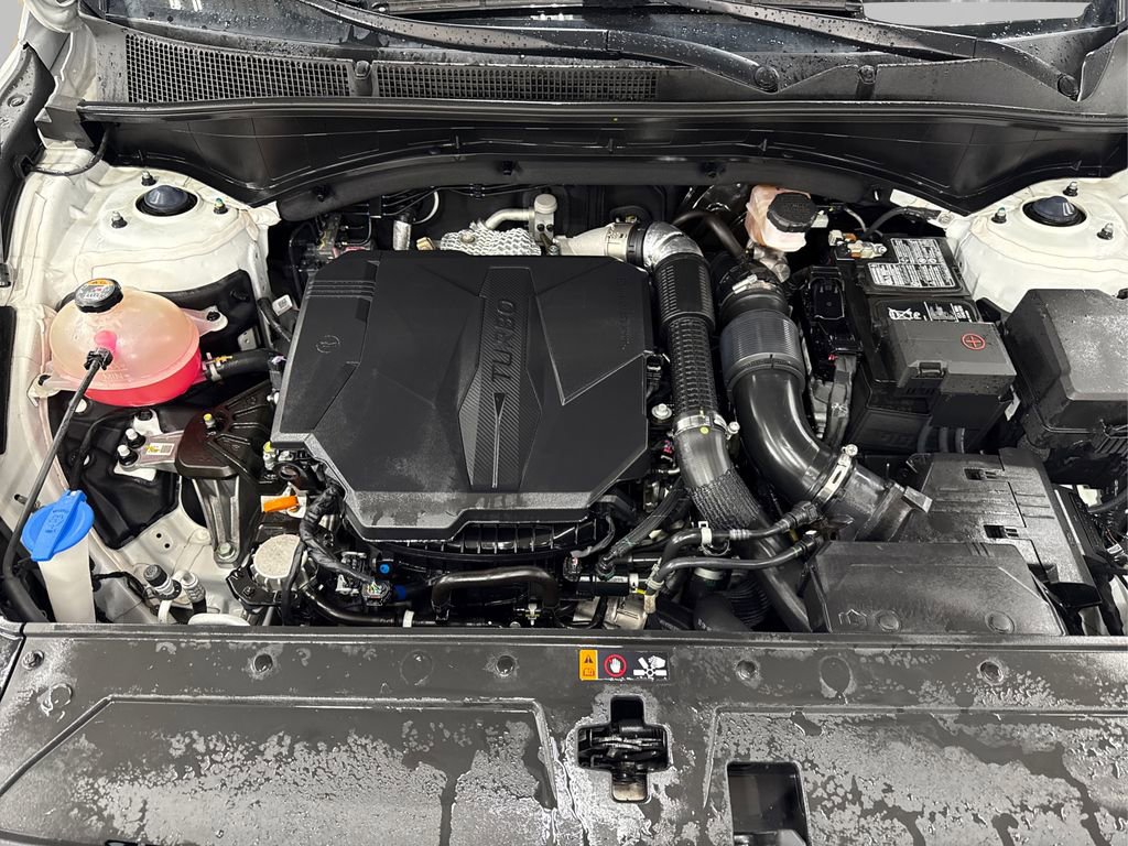 Used 2023 Hyundai Santa Fe Calligraphy image 13