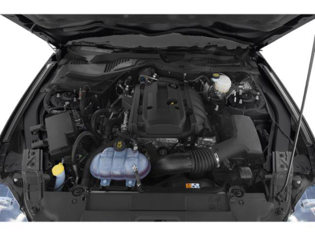 Used 2019 Ford Mustang Premium w/ Black Accent Package RWD image 16