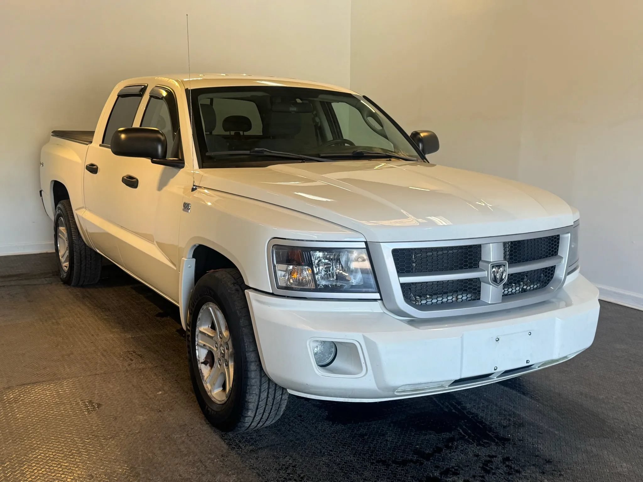 Used 2009 Dodge Dakota Big Horn w/ Utility Group AWD/4WD image 3