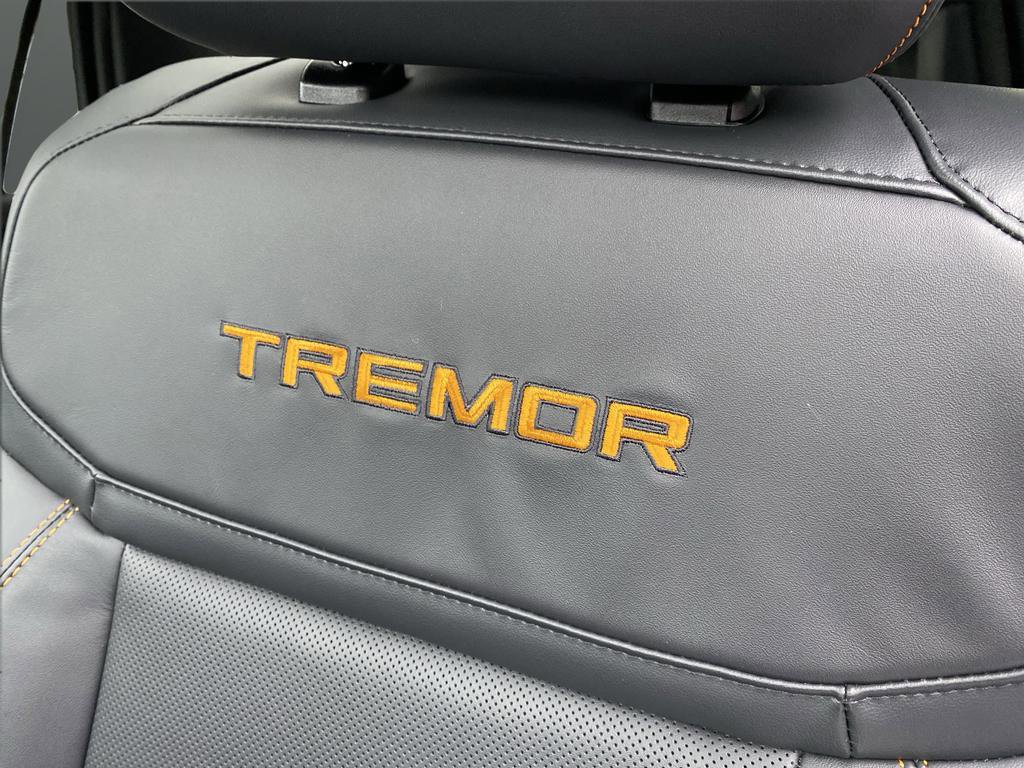 New 2026 Ford Expedition Tremor image 48