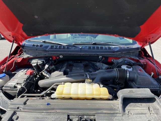 Used 2019 Ford F150 XLT w/ Equipment Group 302A Luxury AWD/4WD image 18