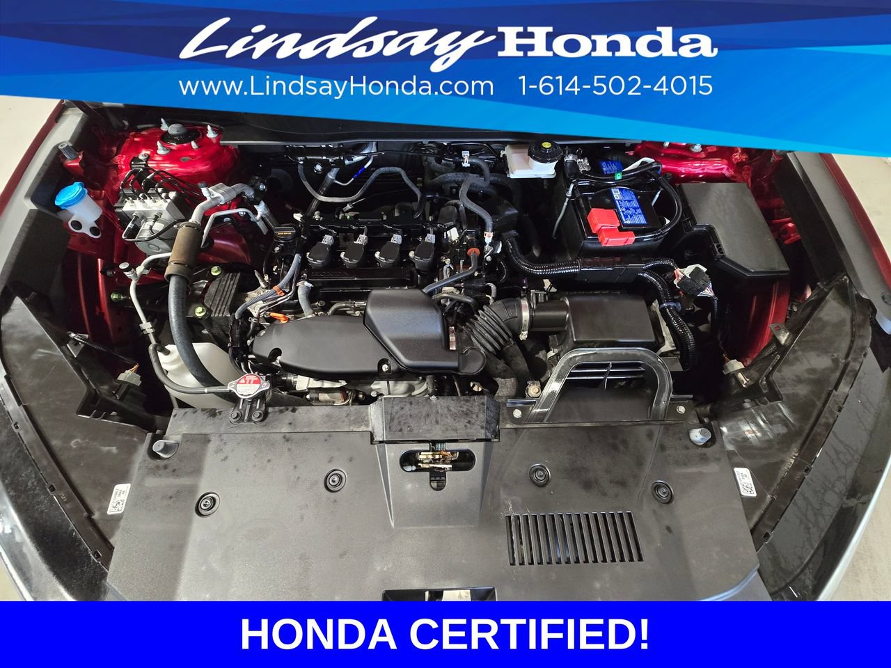 Certified 2024 Honda CR-V EX image 25