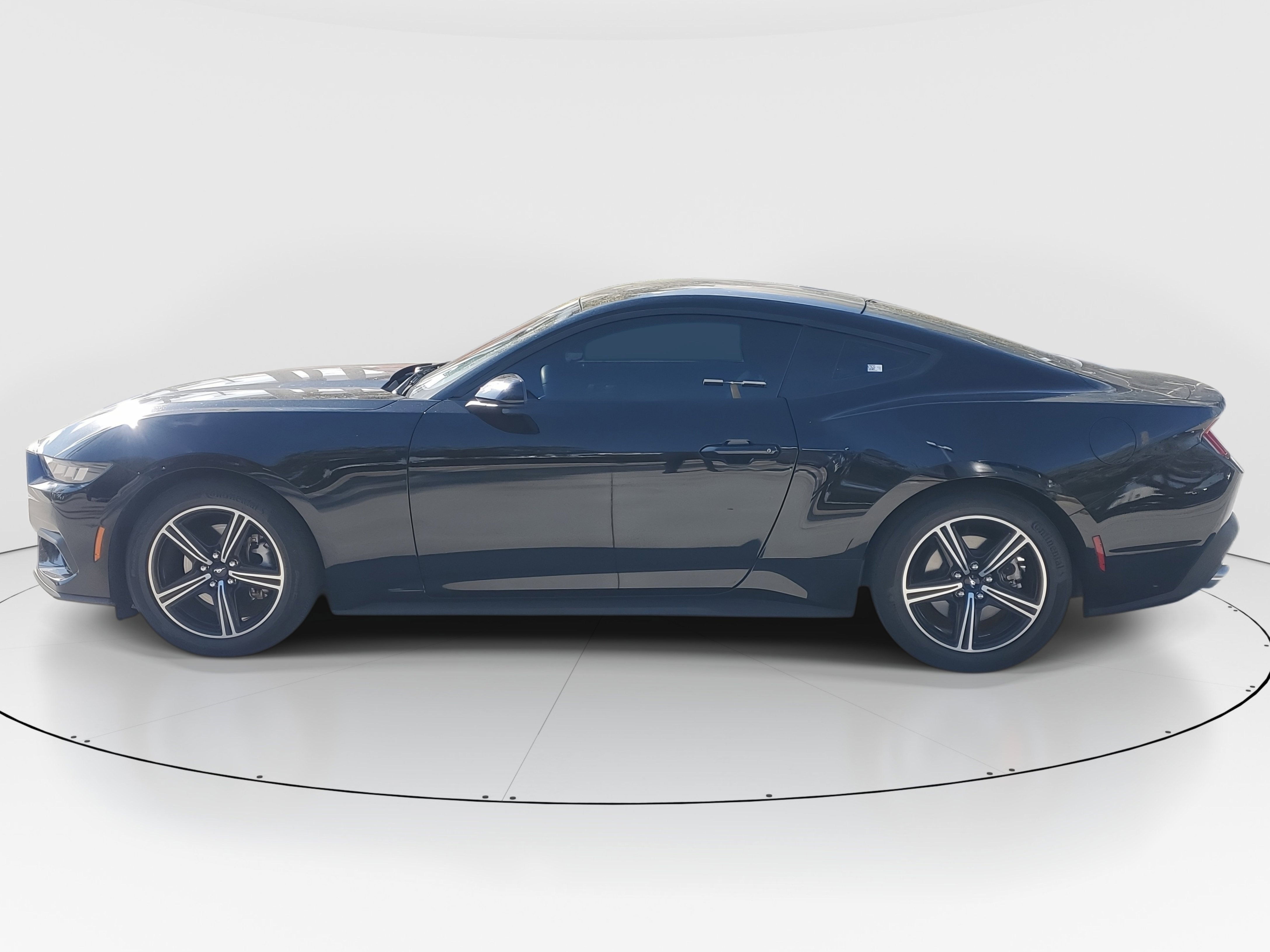 Used 2024 Ford Mustang EcoBoost image 7