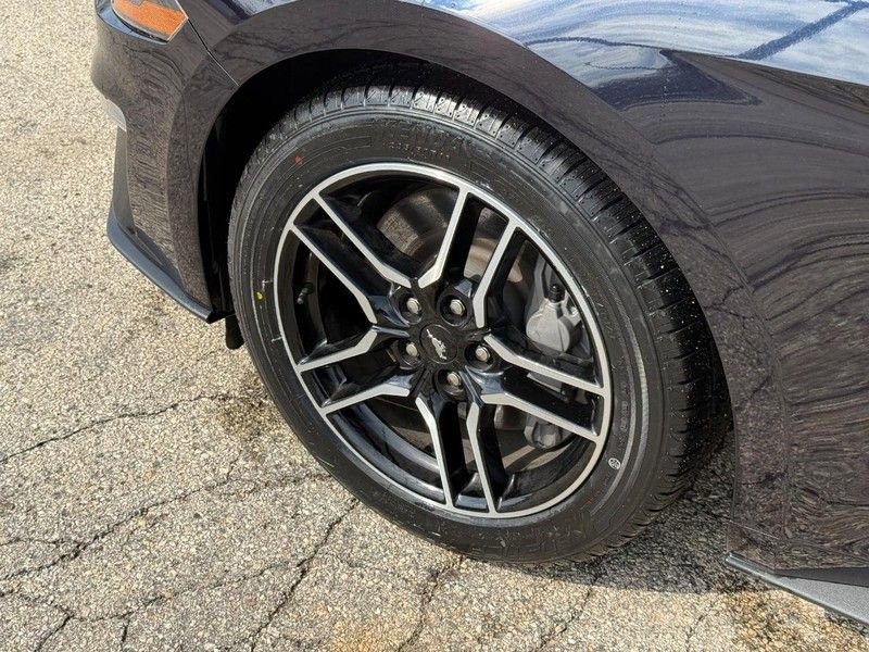 Used 2021 Ford Mustang GT Premium w/ Equipment Group 401A RWD image 10