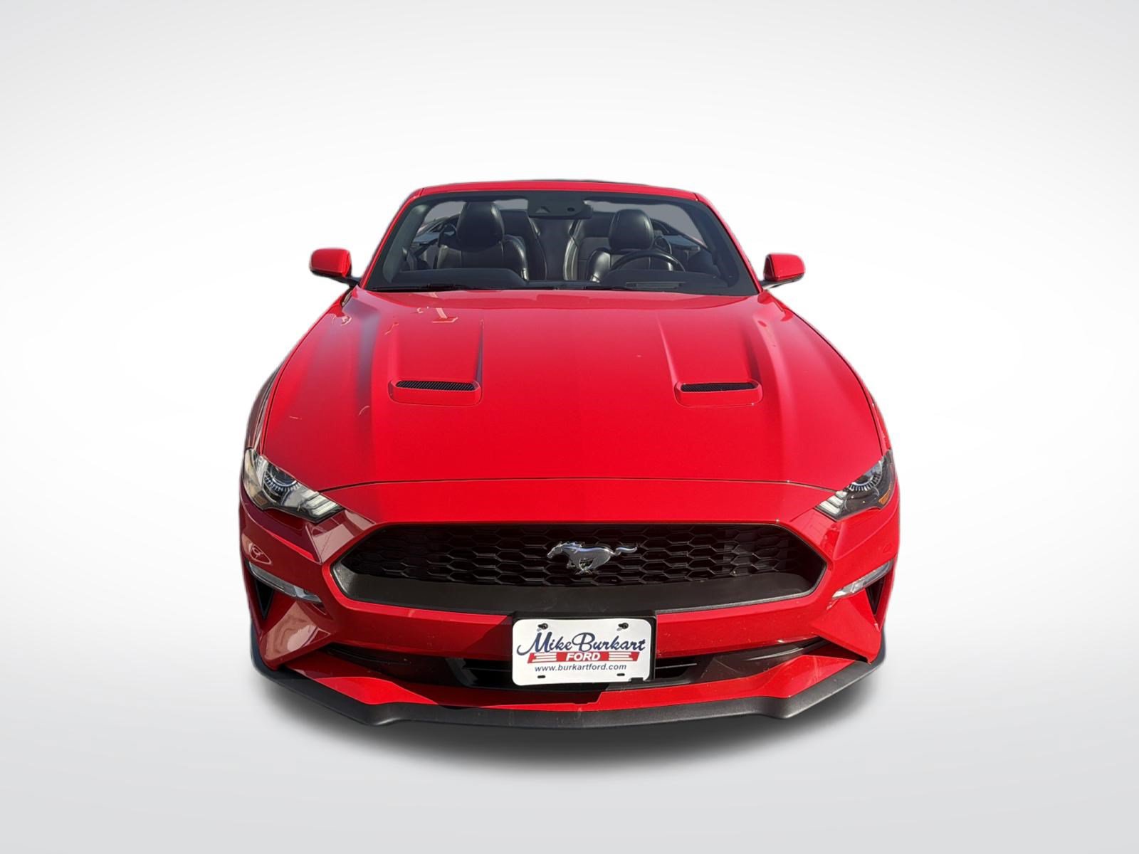 Used 2019 Ford Mustang Premium w/ Equipment Group 201A RWD image 18