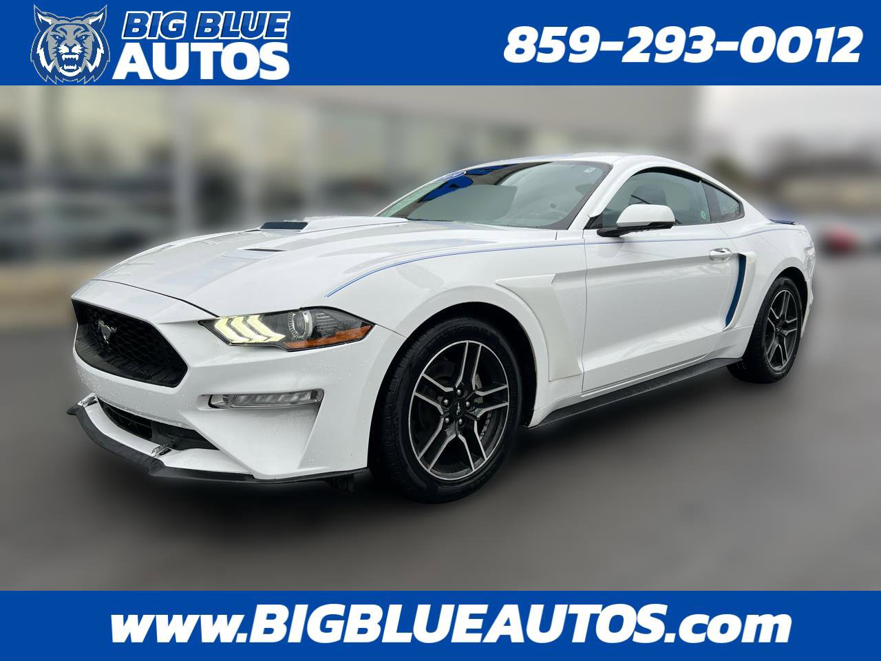 Used 2019 Ford Mustang Premium