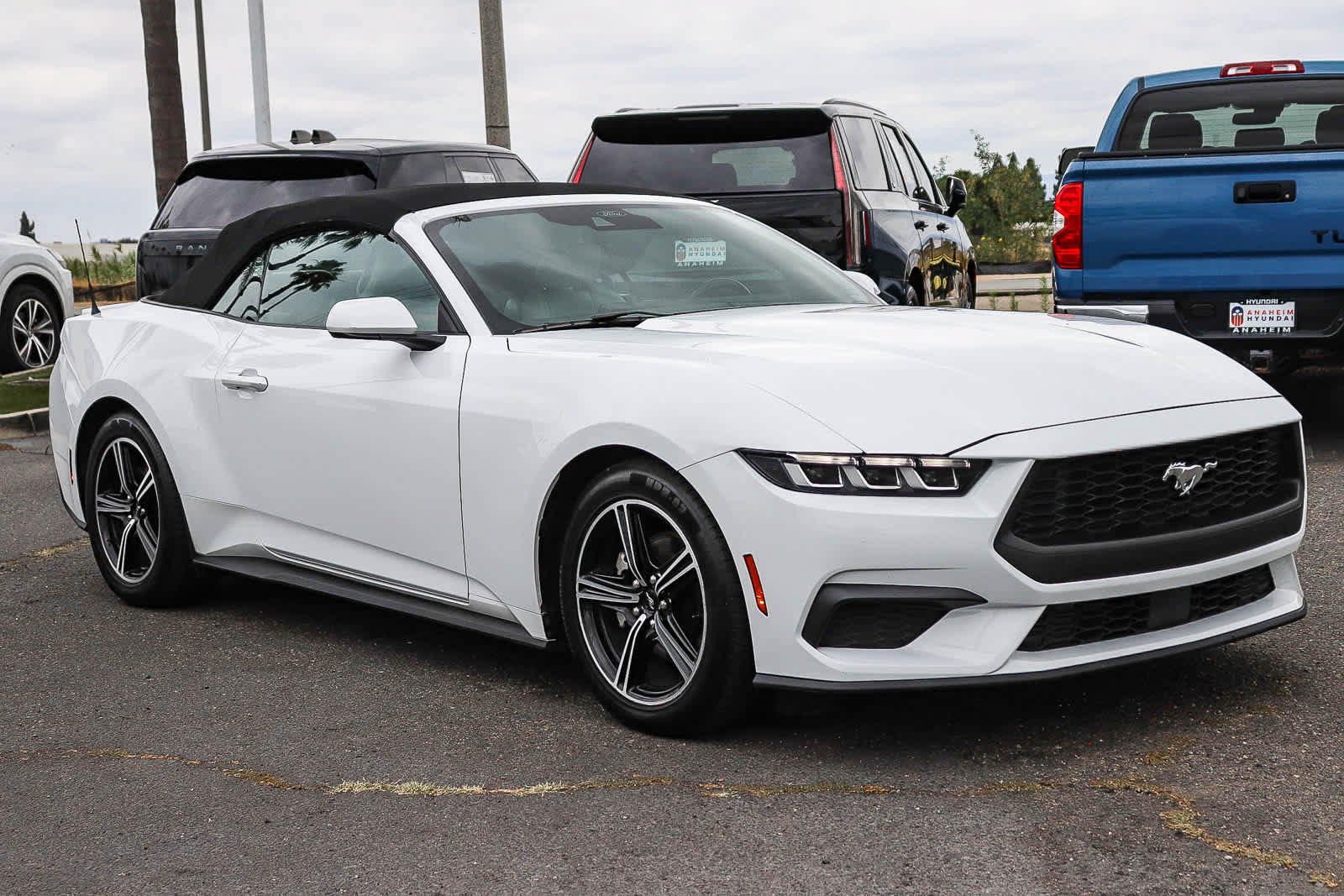 Used 2024 Ford Mustang Premium RWD image 3