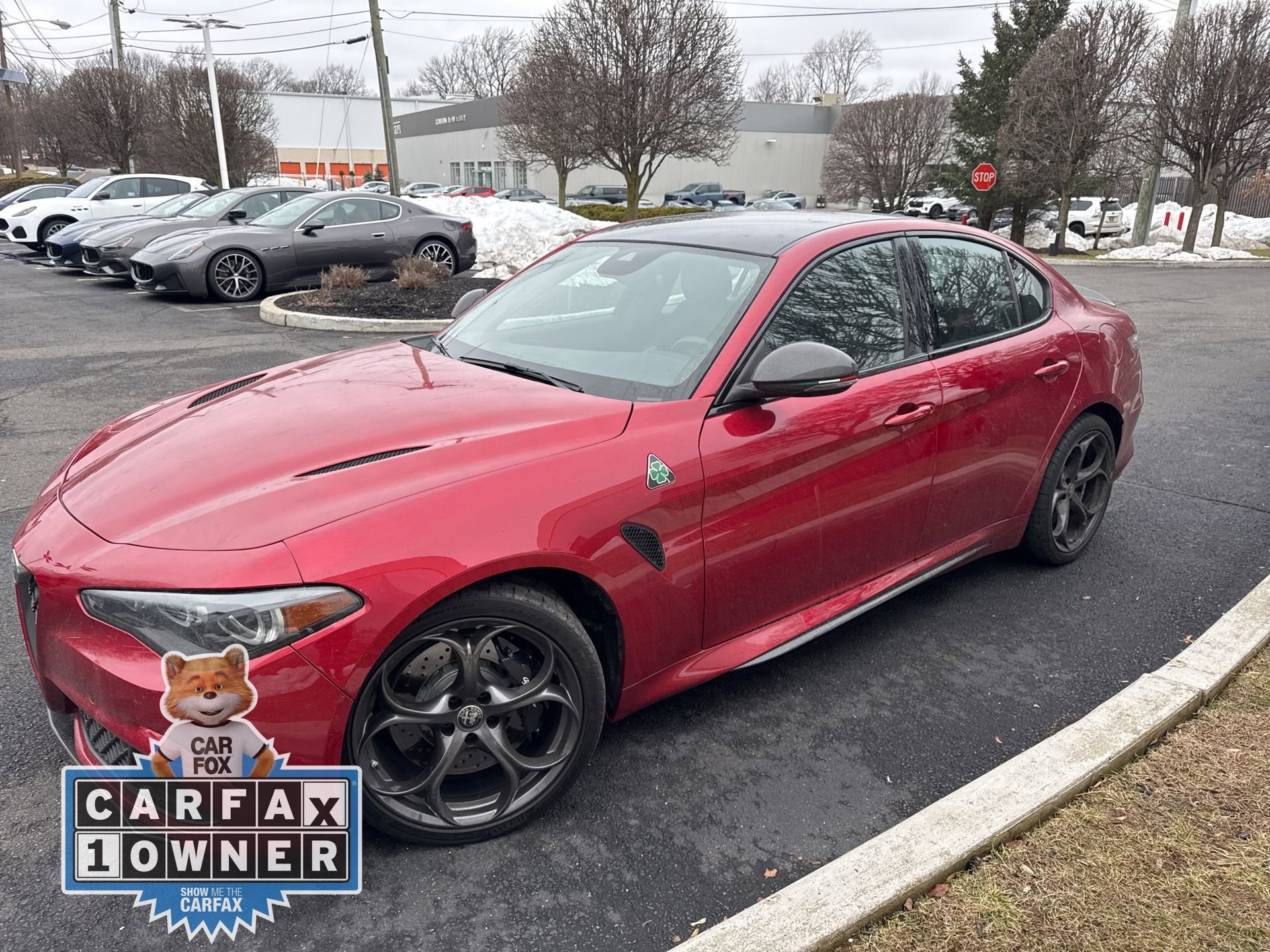 Used 2024 Alfa Romeo Giulia Quadrifoglio image 5