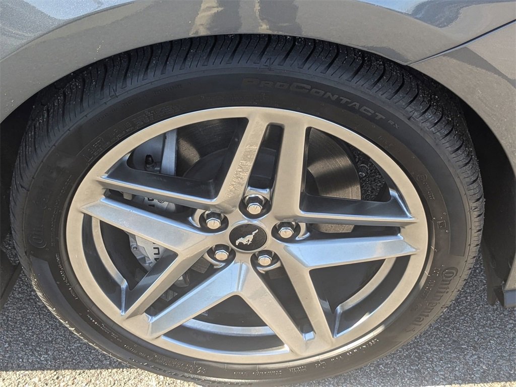 Used 2025 Ford Mustang GT Premium image 14