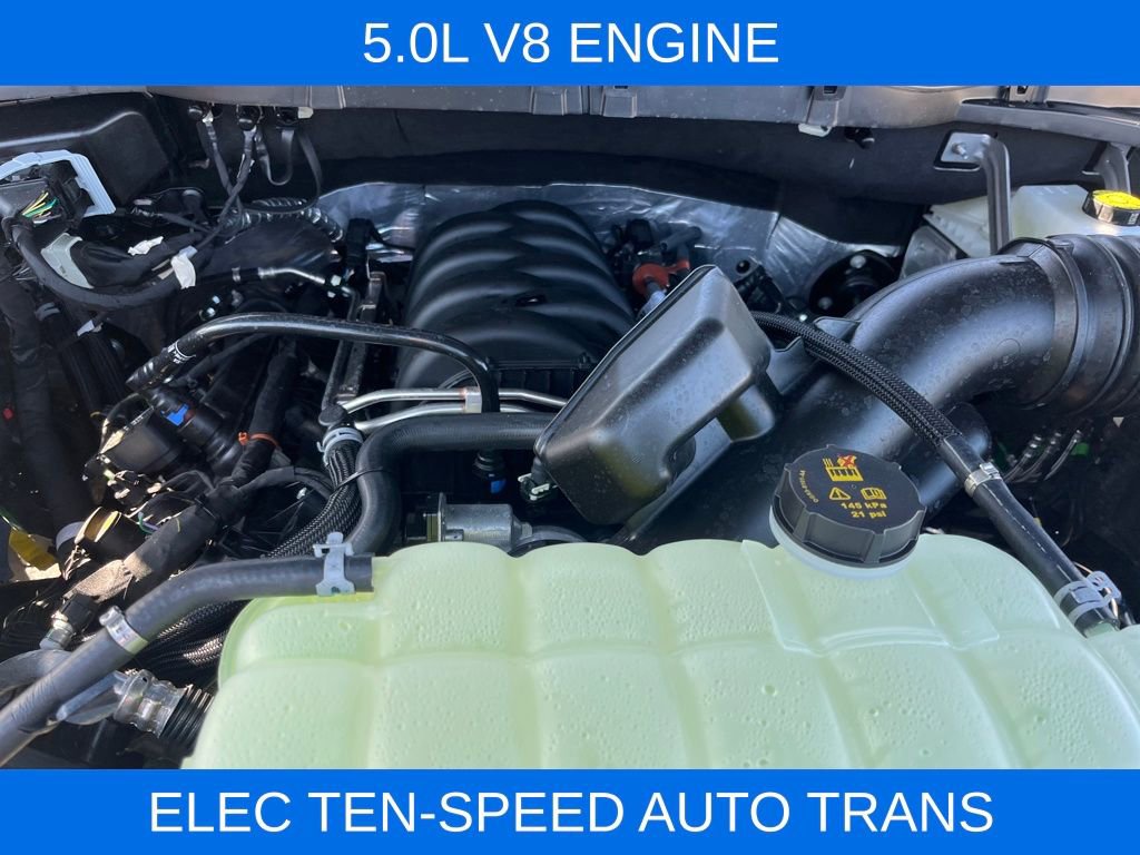 New 2026 Ford F150 XLT w/ Equipment Group 302A MID image 4