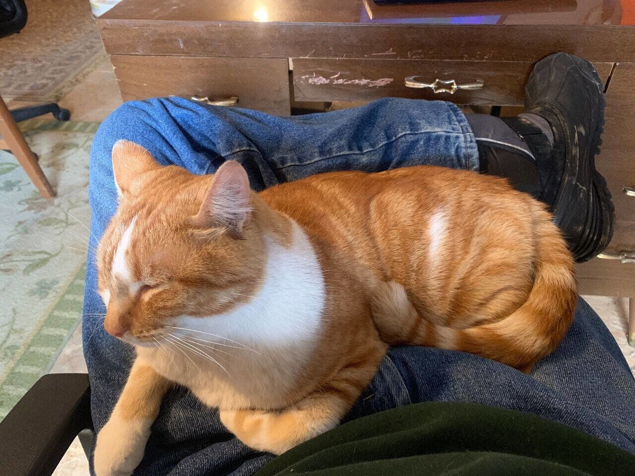 Used 2018 Ford Transit Connect XLT image 24