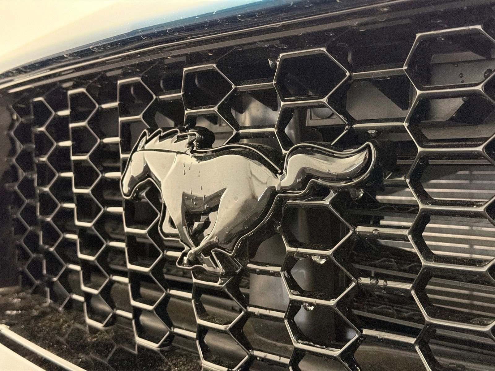 New 2026 Ford Mustang GT RWD image 12
