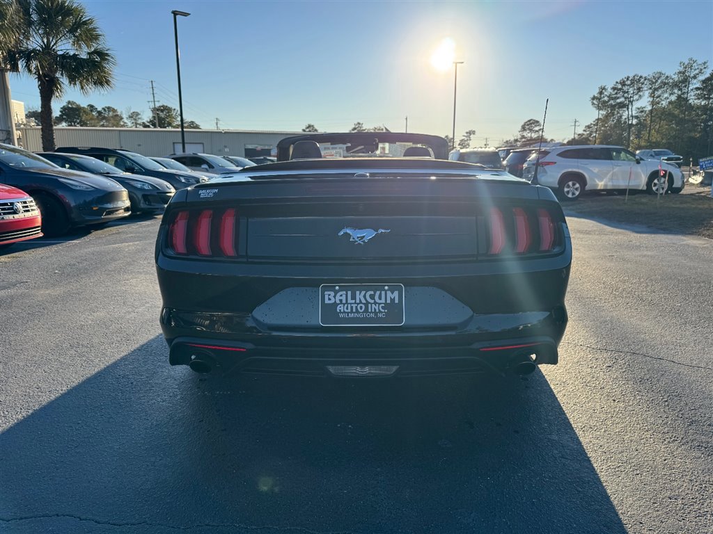 Used 2023 Ford Mustang Premium image 7