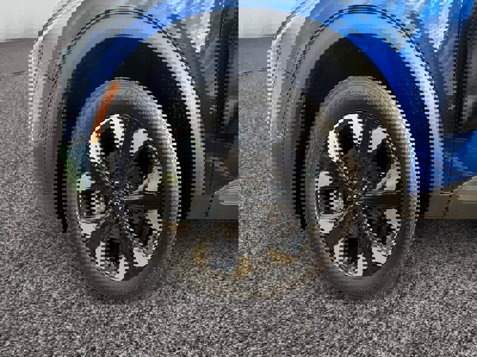 Used 2024 Kia Sportage X-Line image 14