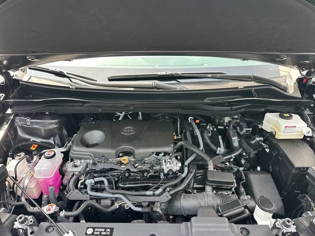 Used 2025 Toyota Sienna Limited FWD image 27