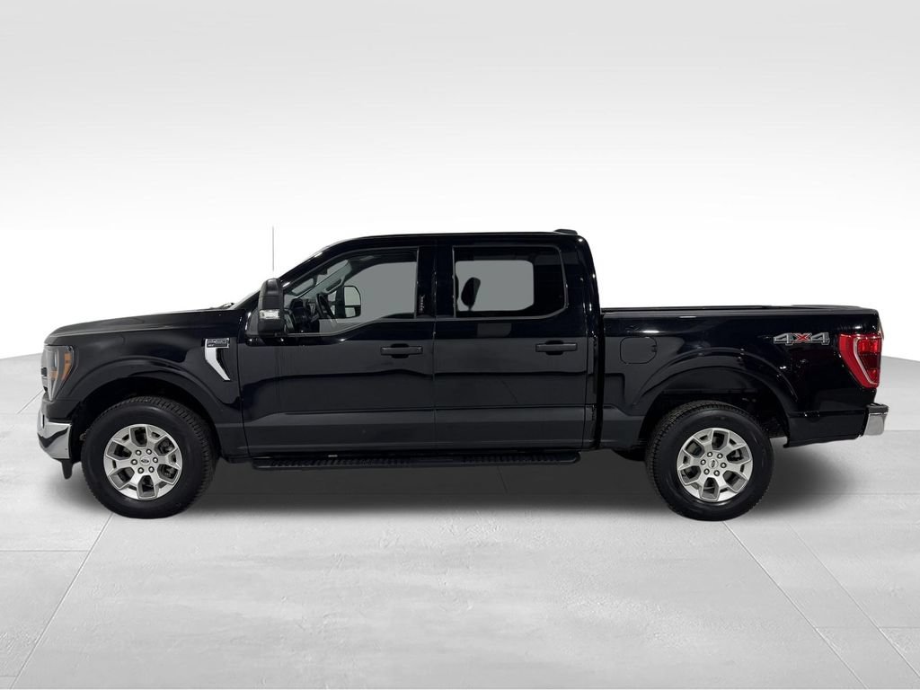 Used 2023 Ford F150 XLT w/ Equipment Group 301A Mid AWD/4WD image 14