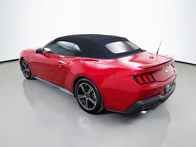 Used 2024 Ford Mustang Premium image 5