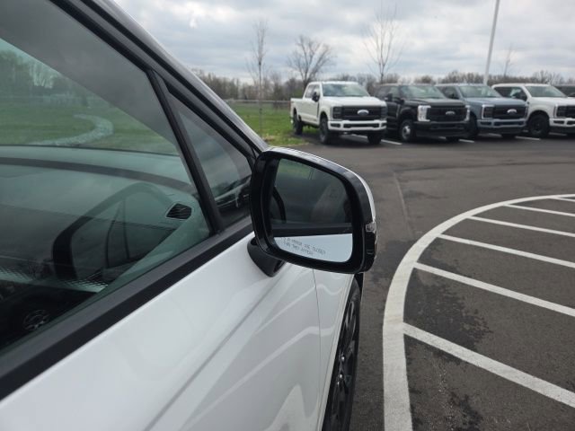 Used 2024 Kia Carnival SX Prestige image 7