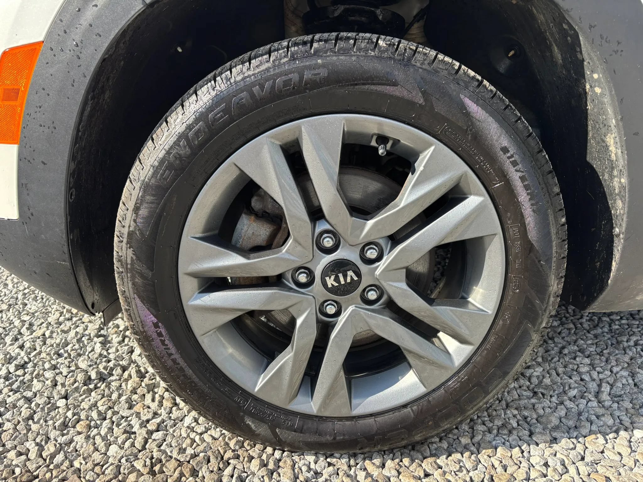 Used 2021 Kia Seltos LX AWD/4WD image 12