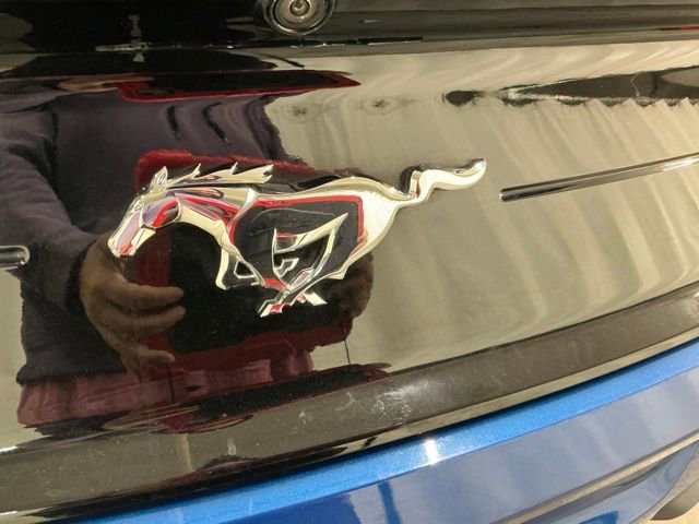 Used 2023 Ford Mustang Coupe w/ Equipment Group 101A image 5