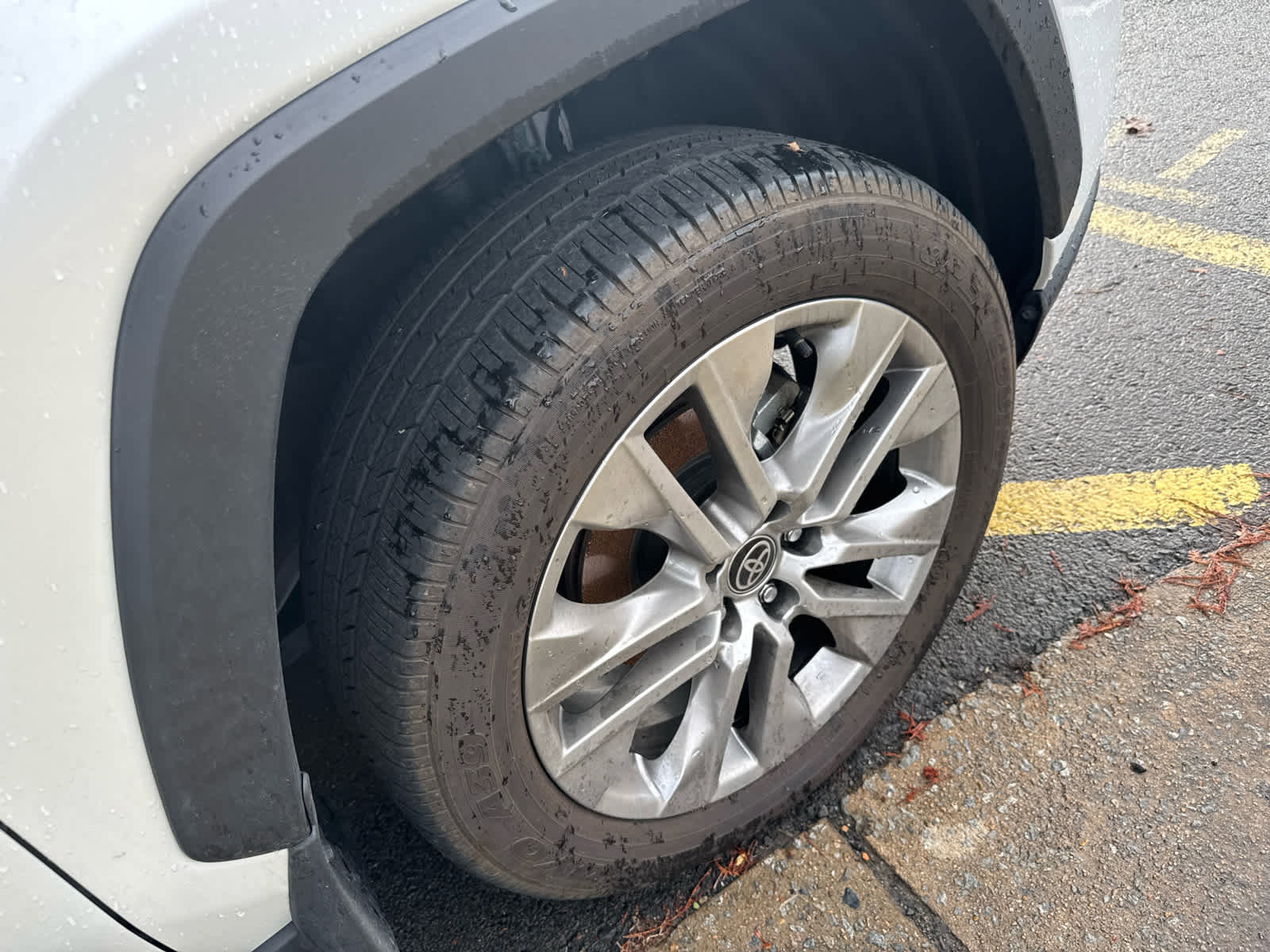 Used 2024 Toyota RAV4 Limited image 5