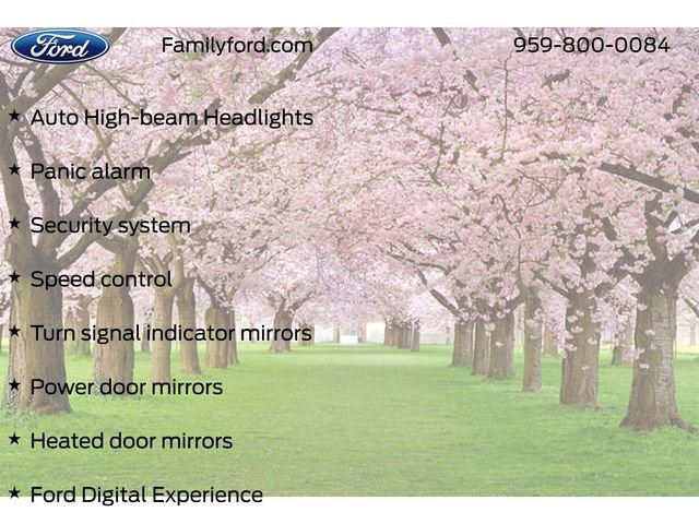 New 2026 Ford Expedition Tremor image 40