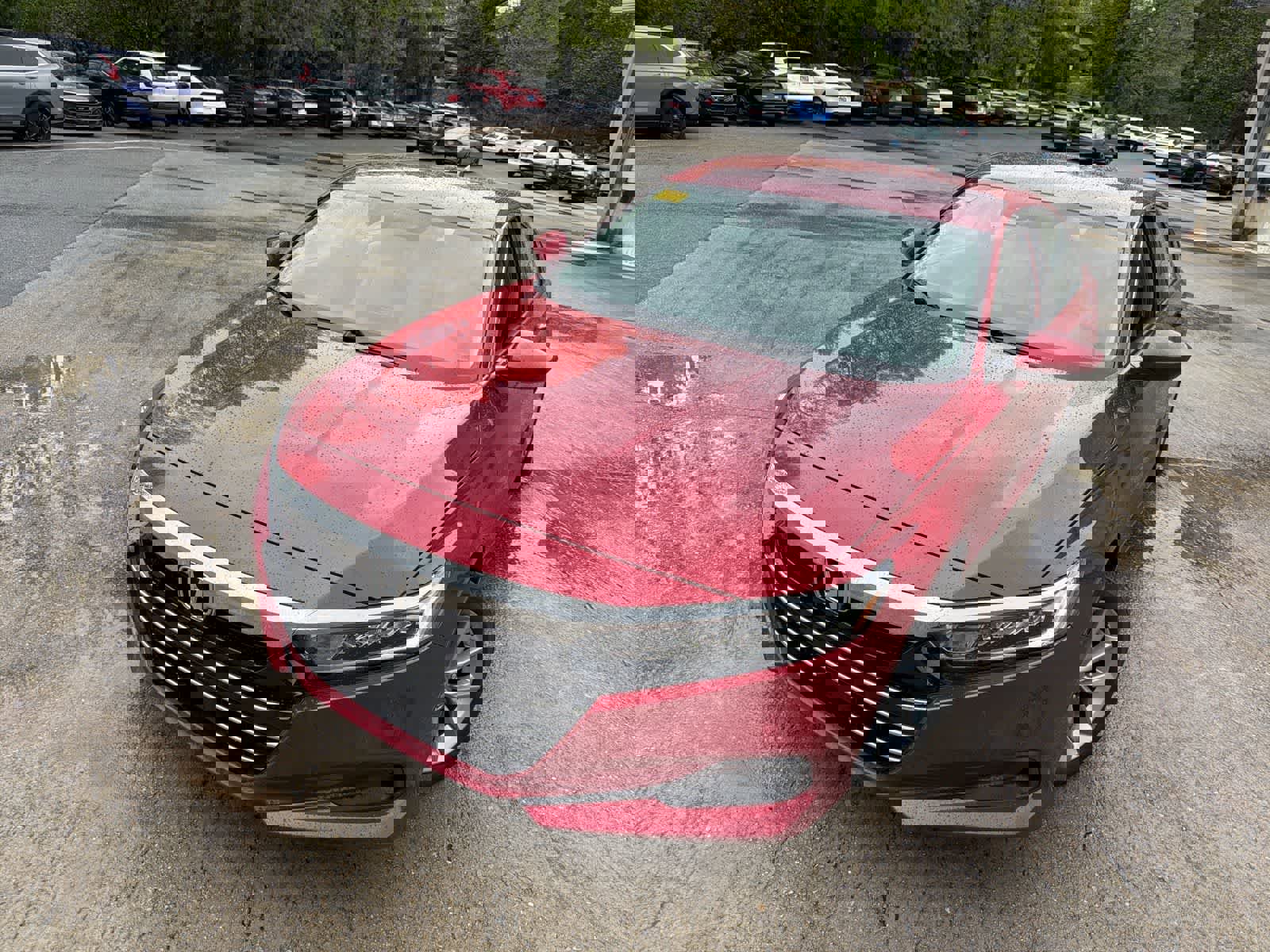 Used 2021 Honda Accord LX image 3