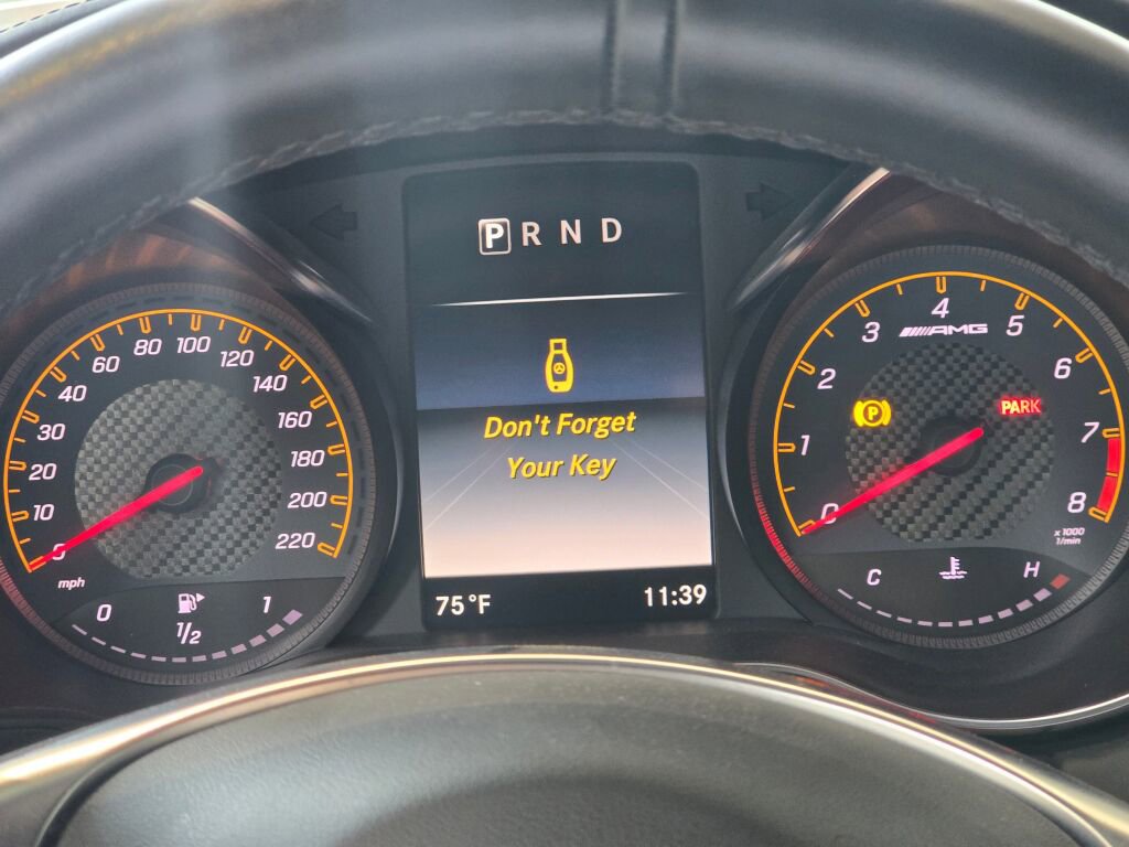 Used 2018 Mercedes-Benz AMG GT C image 38