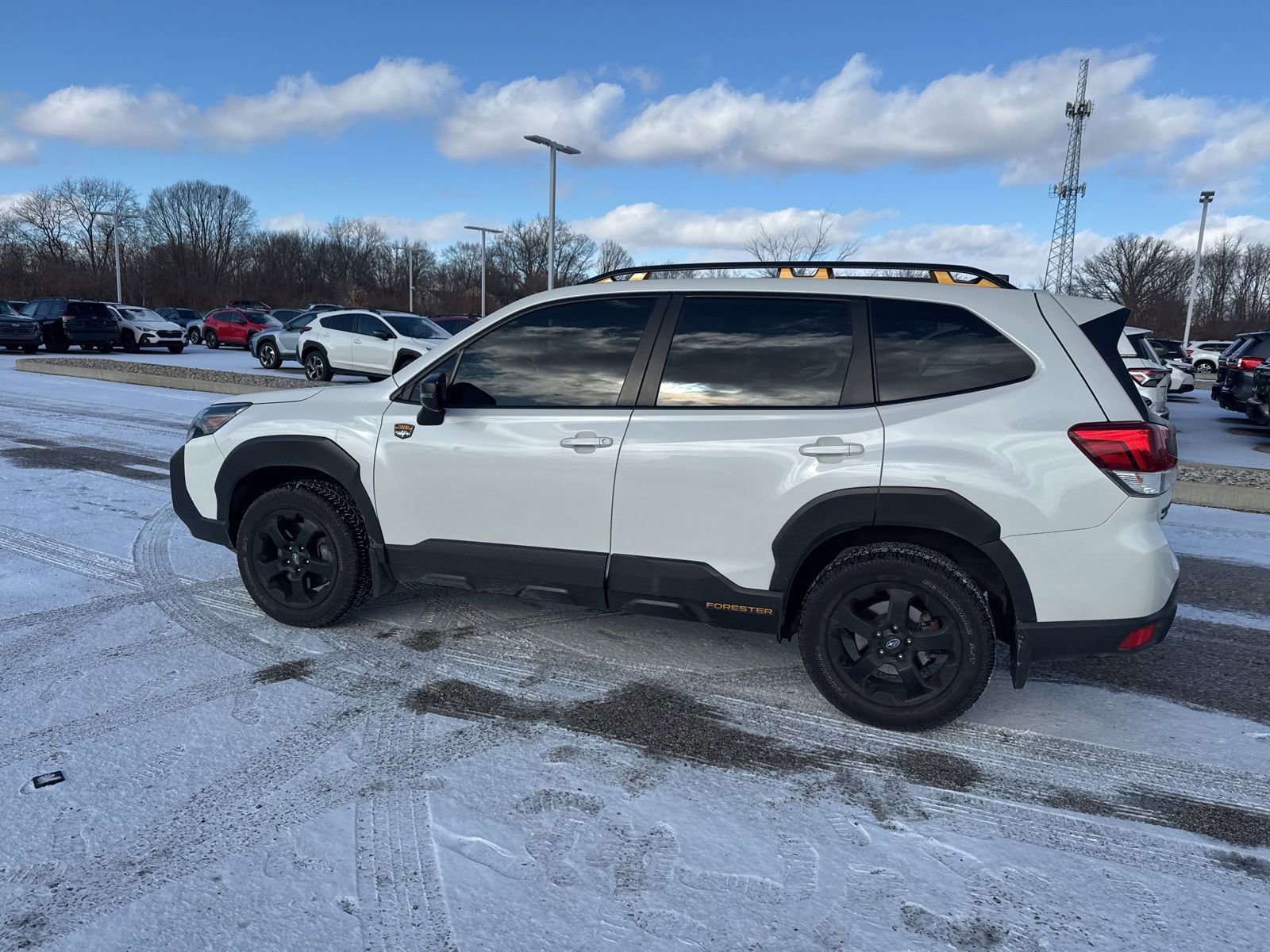 Used 2024 Subaru Forester Wilderness image 16