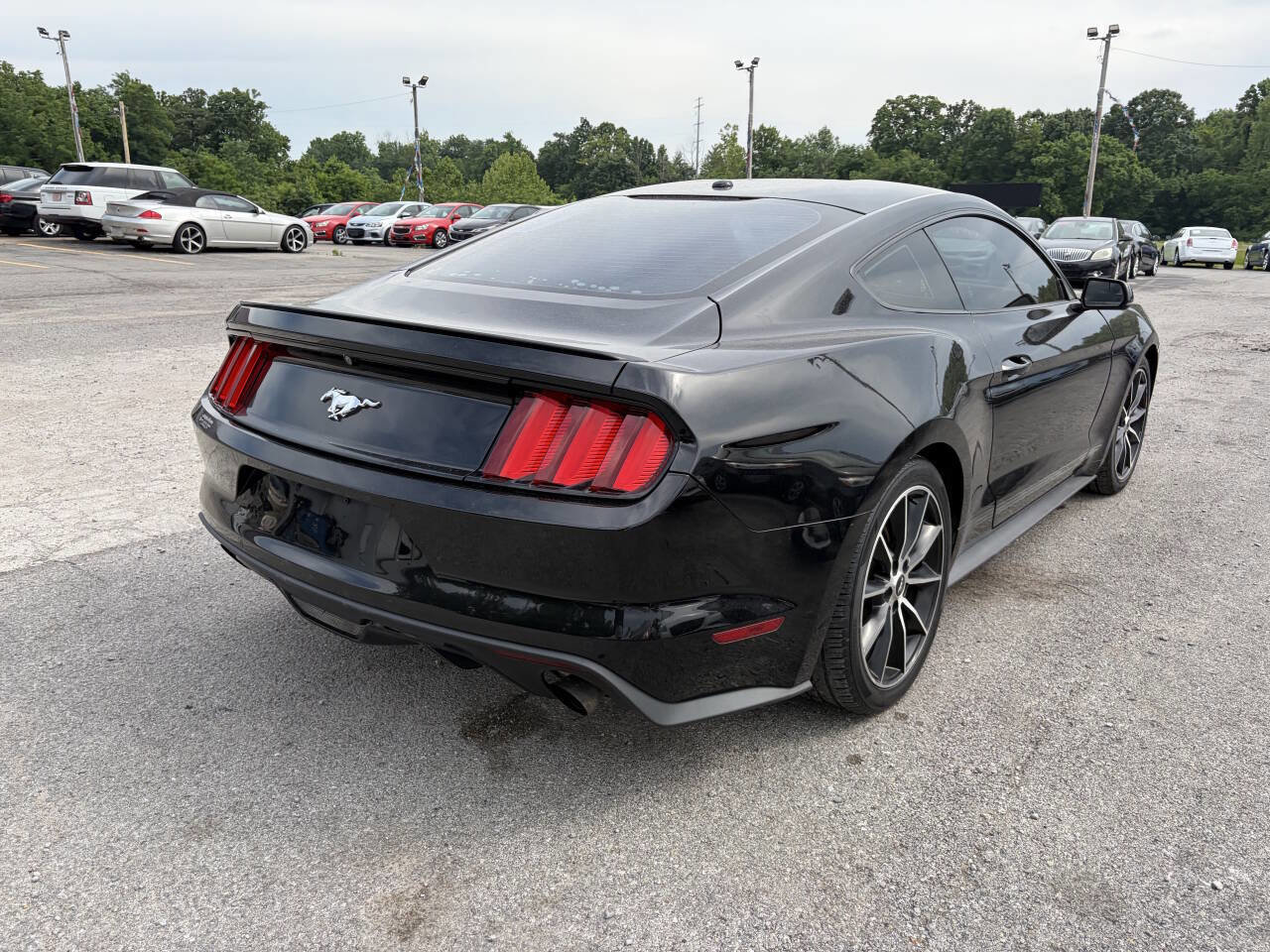 Used 2016 Ford Mustang Premium w/ Wheel & Stripe Package RWD image 1
