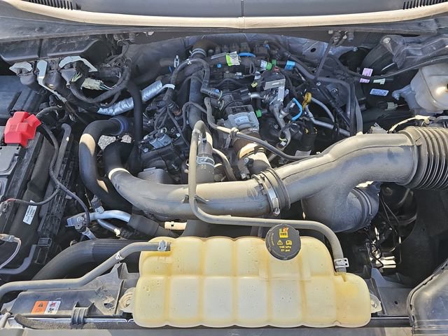 Used 2019 Ford F150 XL w/ Equipment Group 101A Mid AWD/4WD image 31