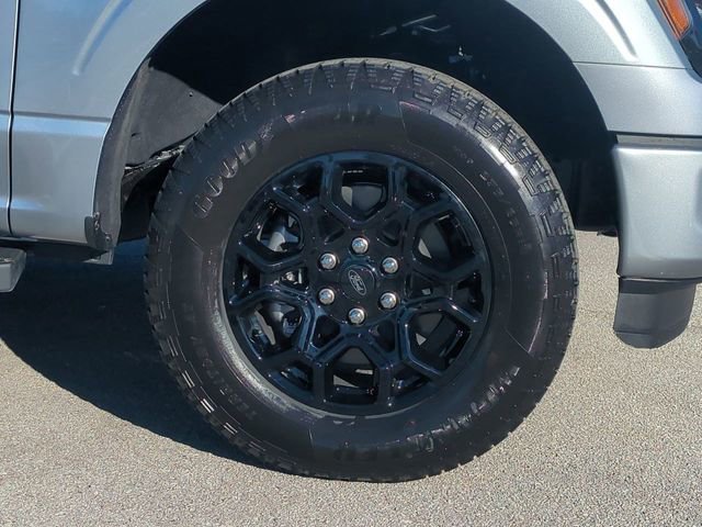 New 2026 Ford F150 XLT w/ XLT Black Appearance Package image 11