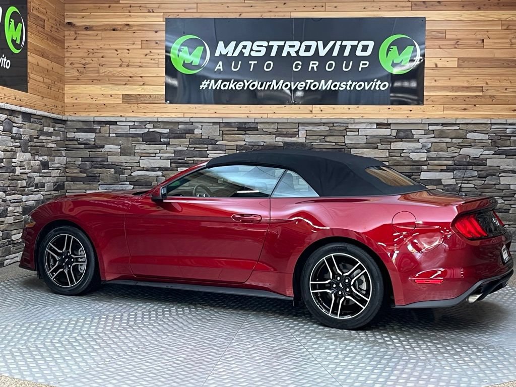 Used 2019 Ford Mustang Convertible w/ Equipment Group 101A RWD image 16