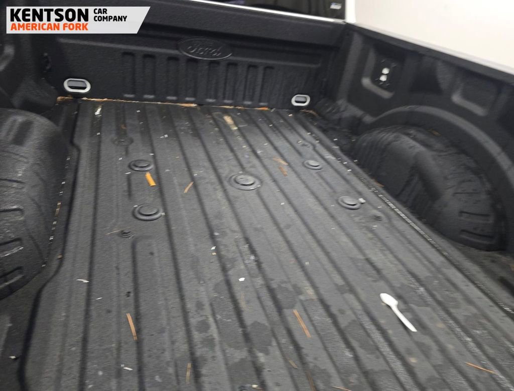 Used 2025 Ford F250 Platinum w/ Tremor Off-Road Package image 5