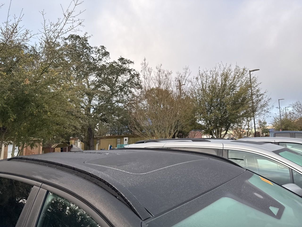 Used 2024 Hyundai Santa Cruz Night image 6