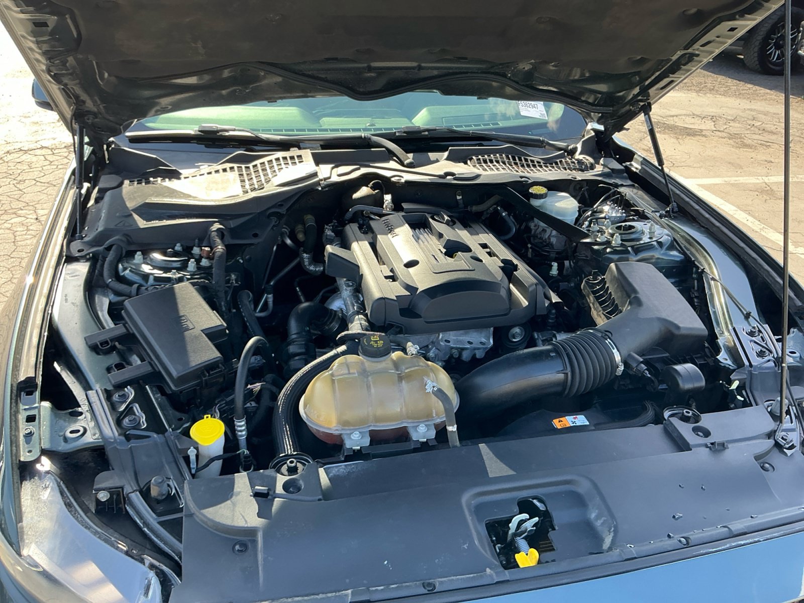 Used 2015 Ford Mustang Premium w/ Equipment Group 201A RWD image 22