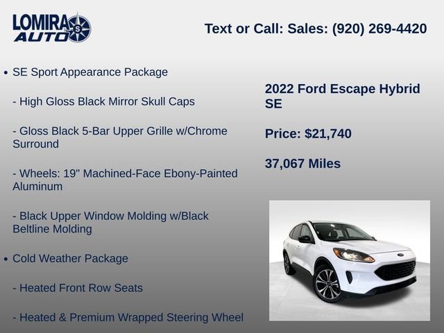 Used 2022 Ford Escape SE w/ SE Sport Appearance Package AWD/4WD image 14