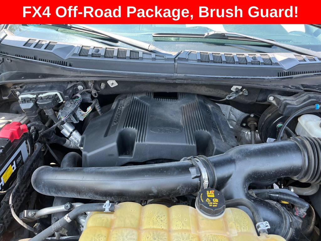 Used 2019 Ford F150 XLT w/ Equipment Group 302A Luxury AWD/4WD image 19