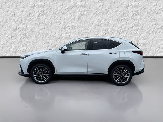 New 2026 Lexus NX 350 AWD w/ Cold Area Package image 6